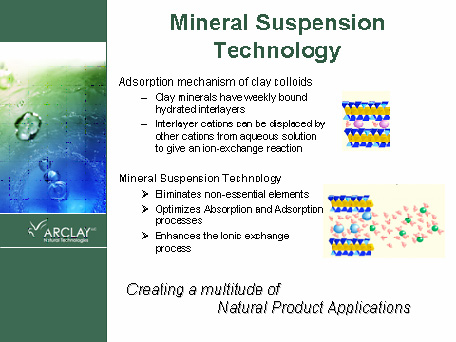 What are clay minerals?